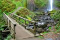Foot Bridge to the Falls P&S version