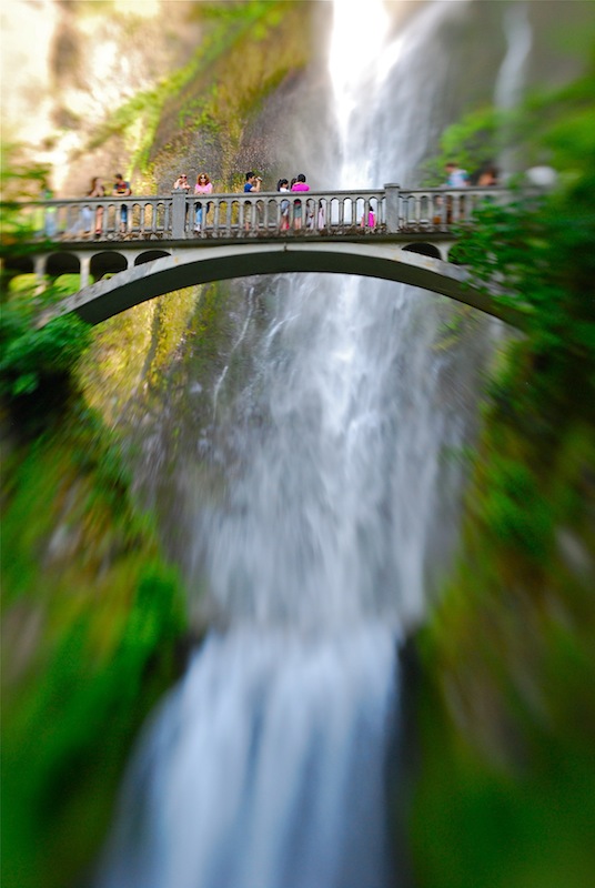 Simon Benson Foot Bridge
