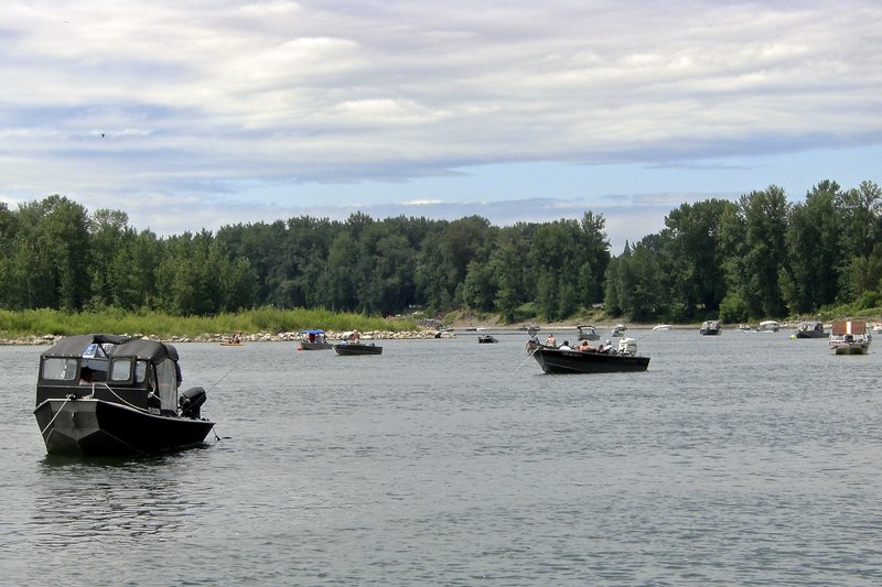 Lazy Steelhead Days 1