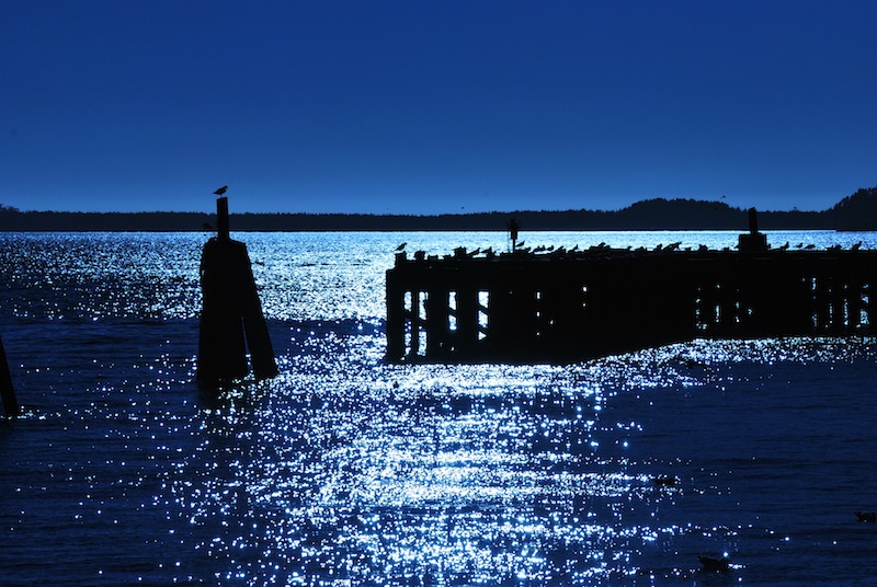 Dock by the Bay