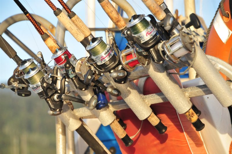 Let's Go Fishing II