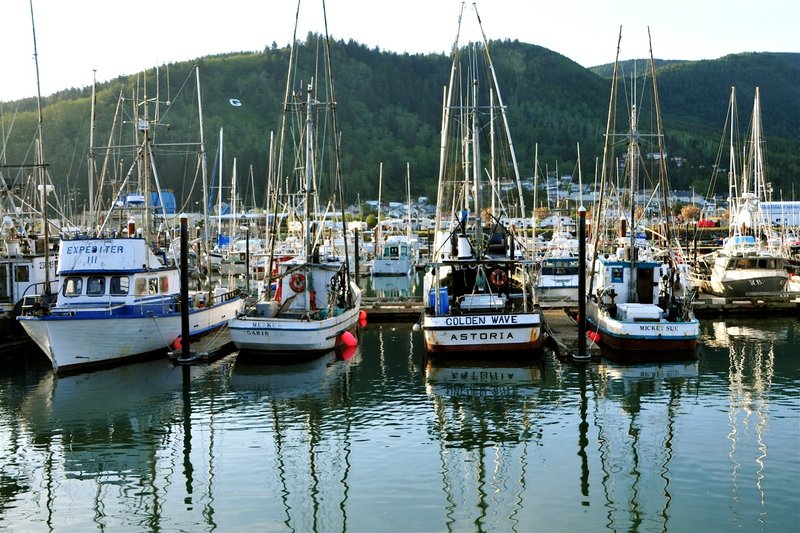 Garibaldi Fishing Fleet