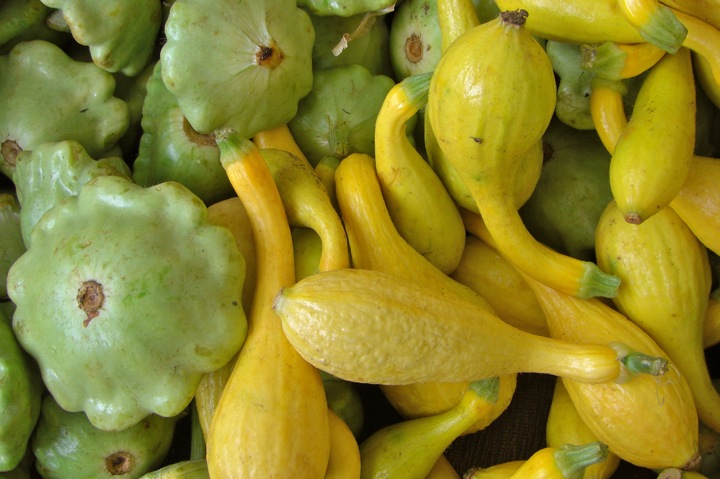 Squash