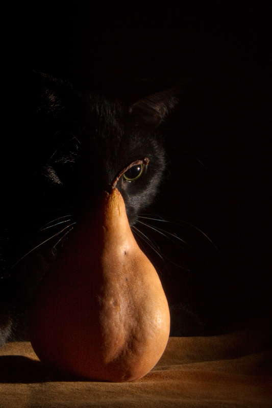 palindrome-outtake