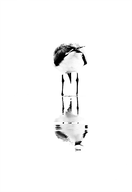 abstract-nature-16