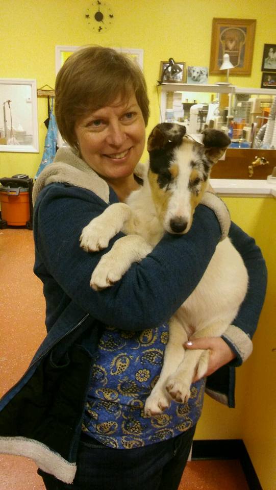 puppy2
