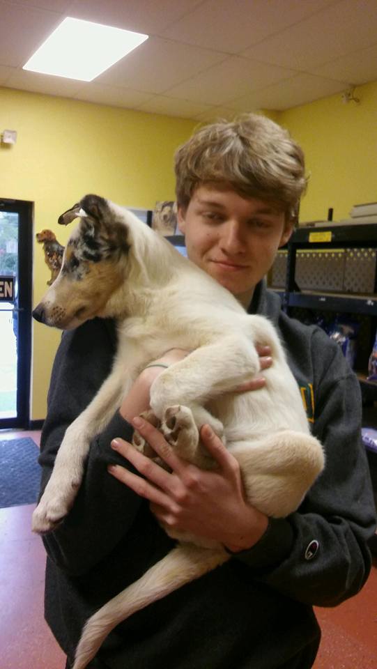 puppy3