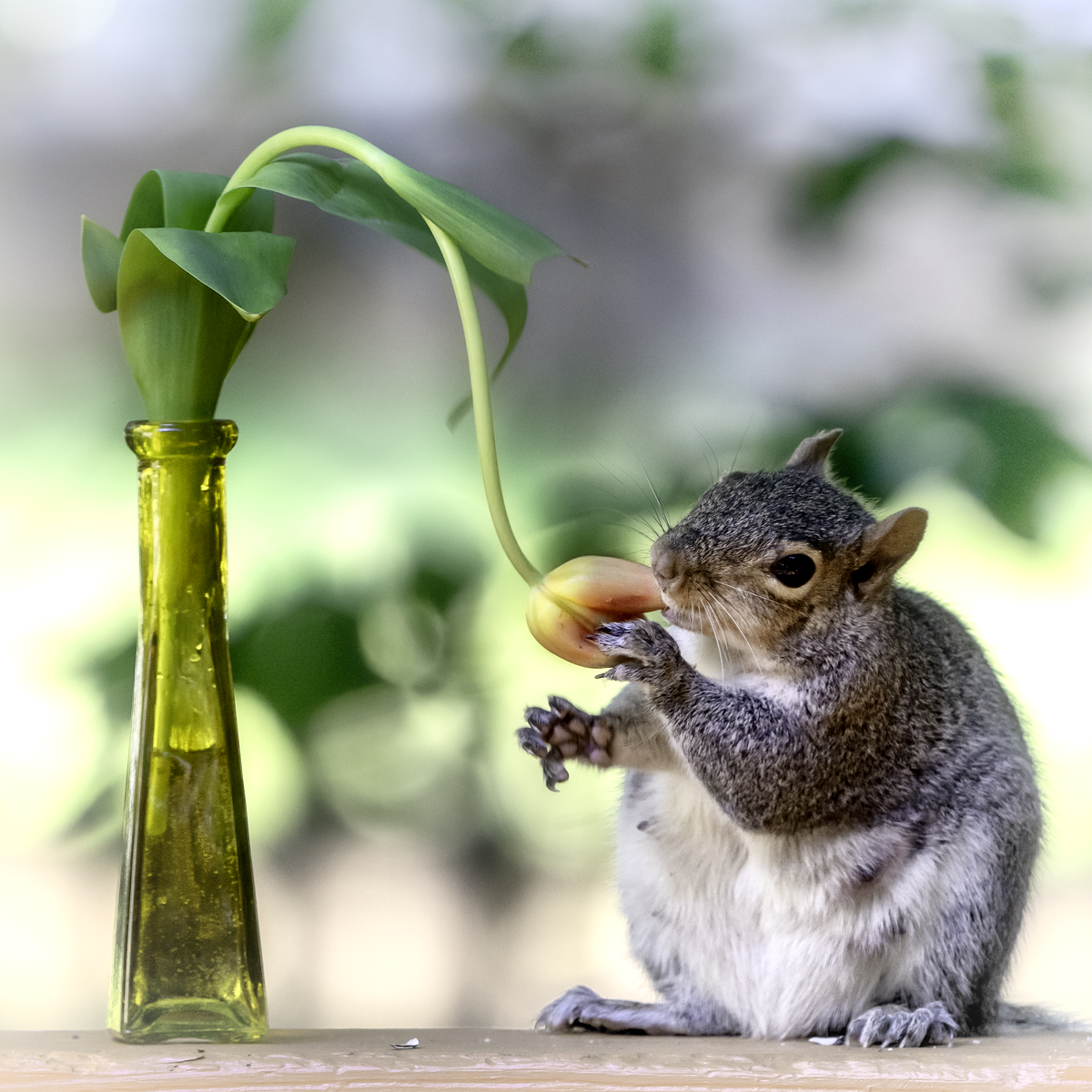 Don't forget to stop and eat the flowers