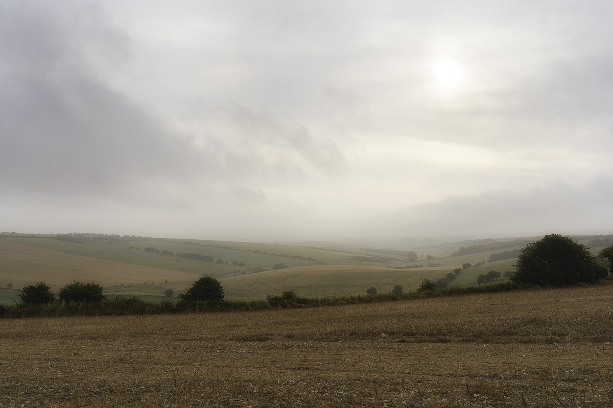 minimal landscape00875-Edit