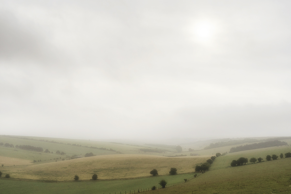minimal landscape