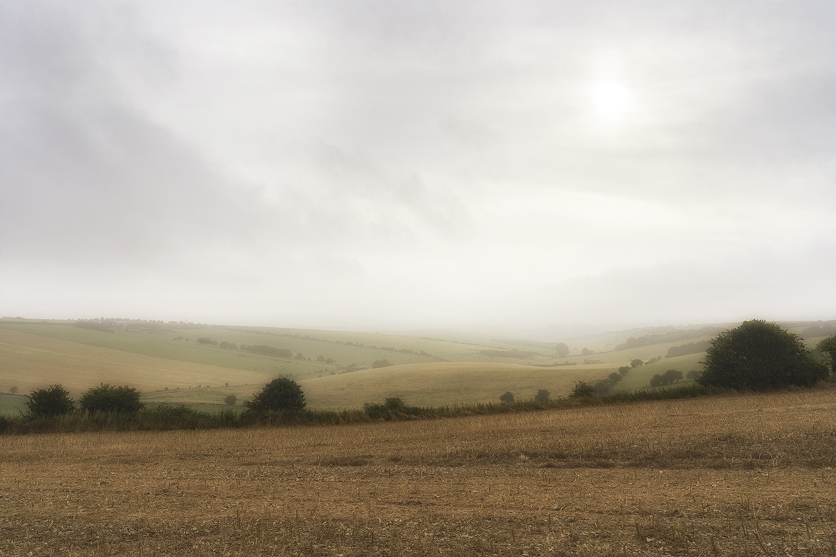 minlandscape