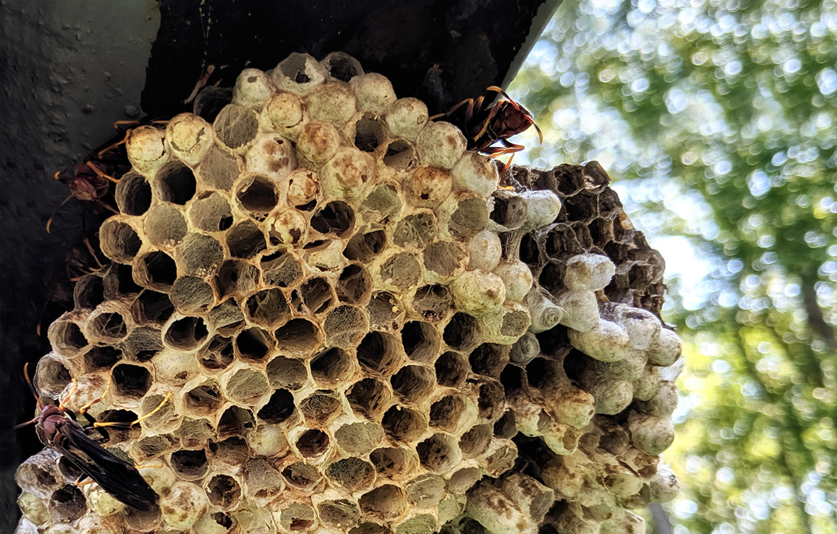 roundIMG_20190922_104834