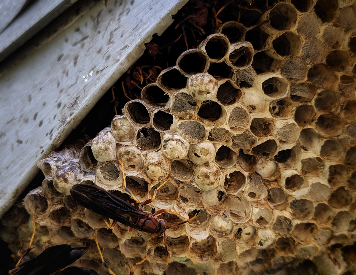 roundIMG_20190922_105014