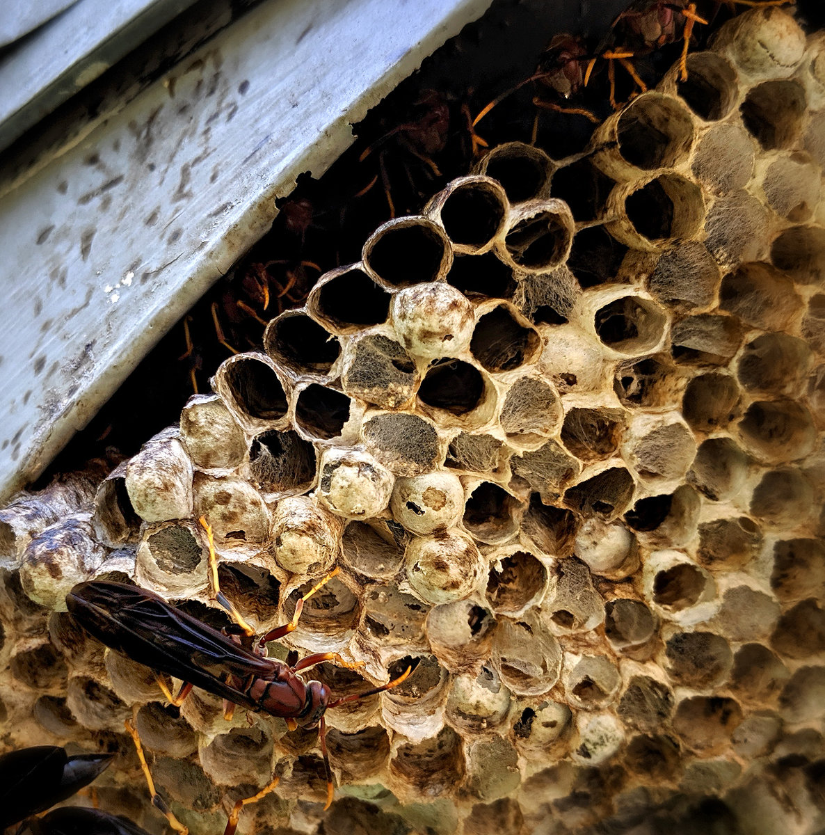 roundIMG_20190922_105014-(1)