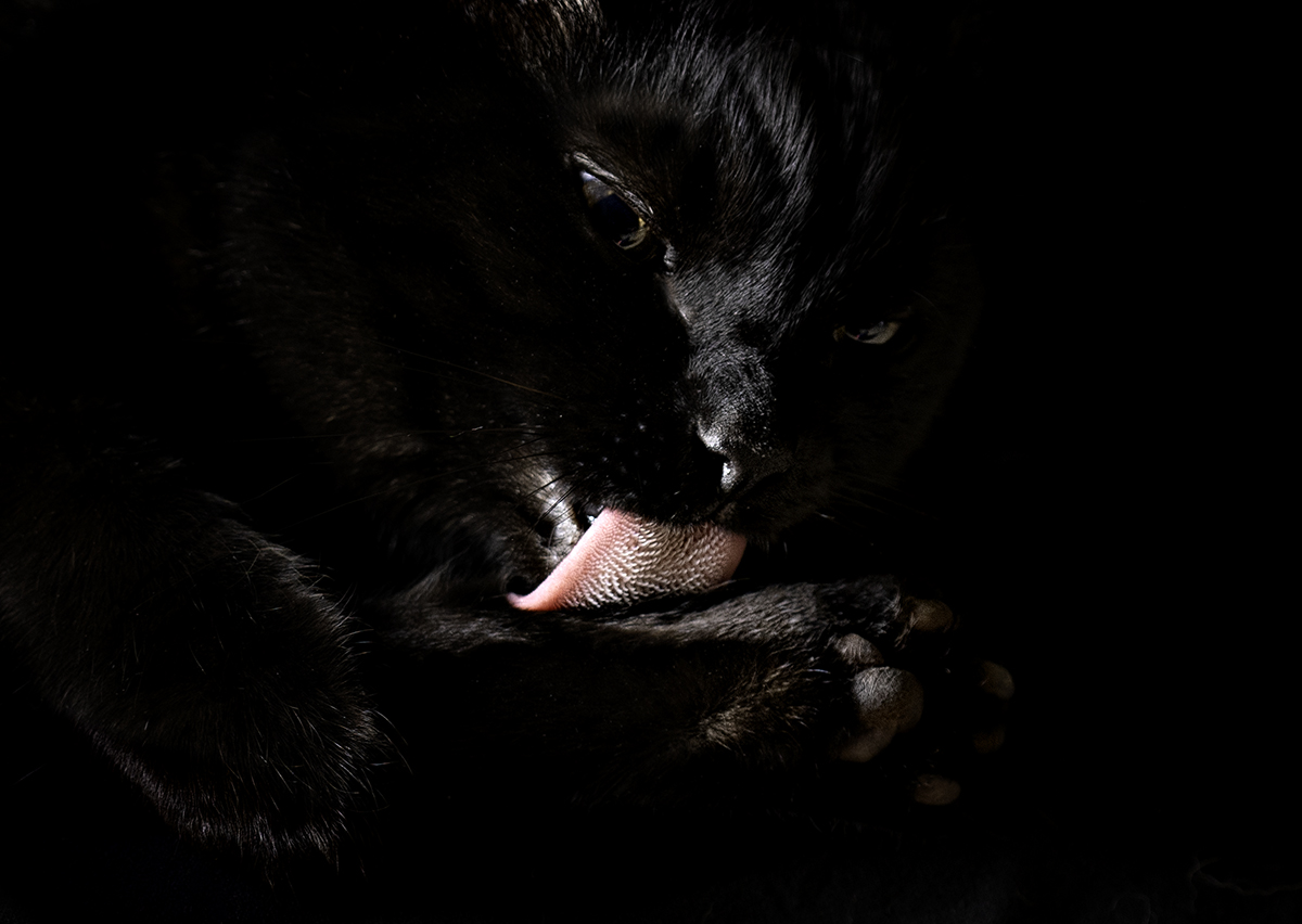 biologyDSC04245-Edit