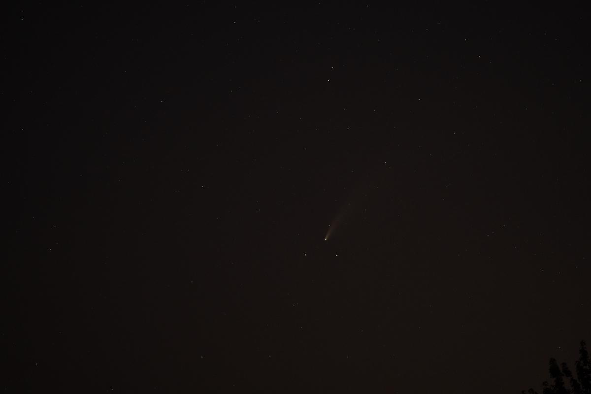 DSC02624
