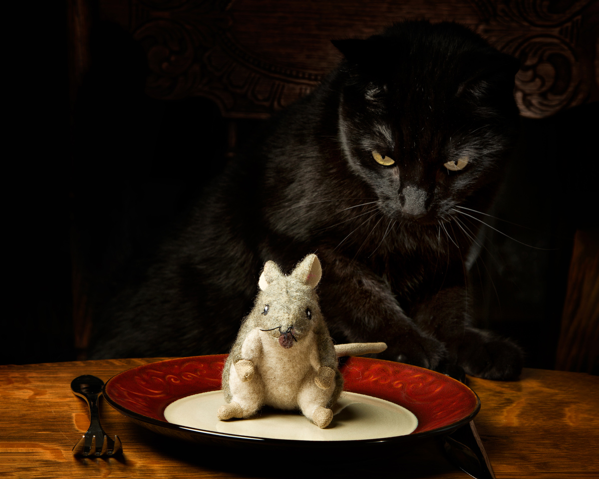 cat-and-mouseIMG_9642