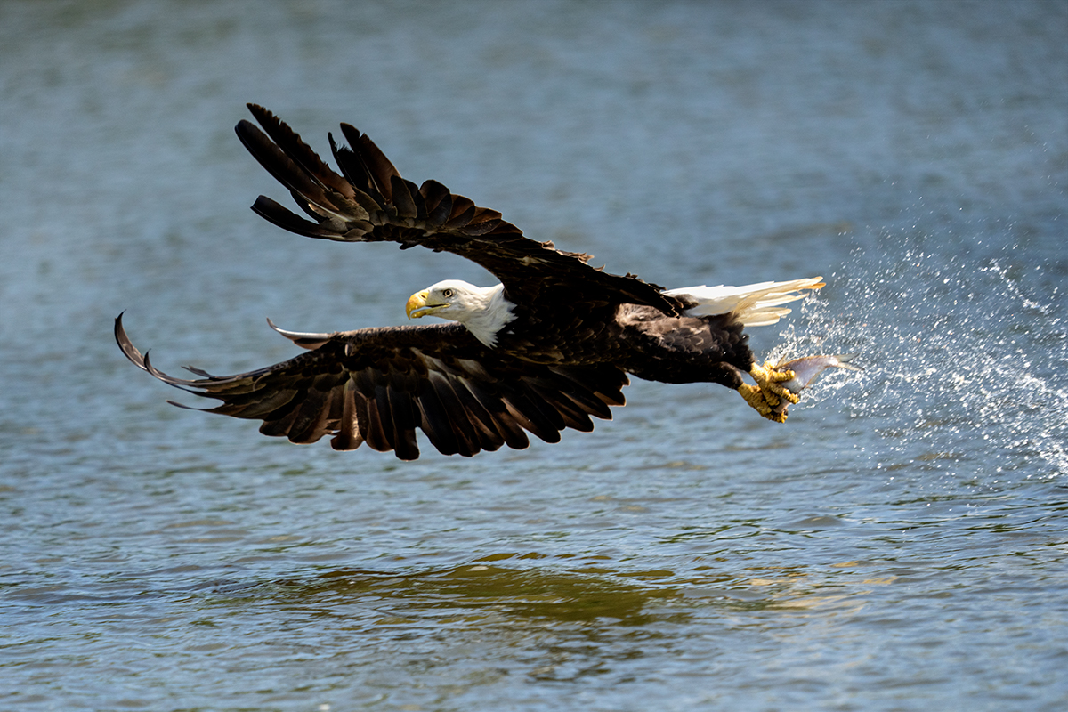 july freeDSC09991-2021-07-07