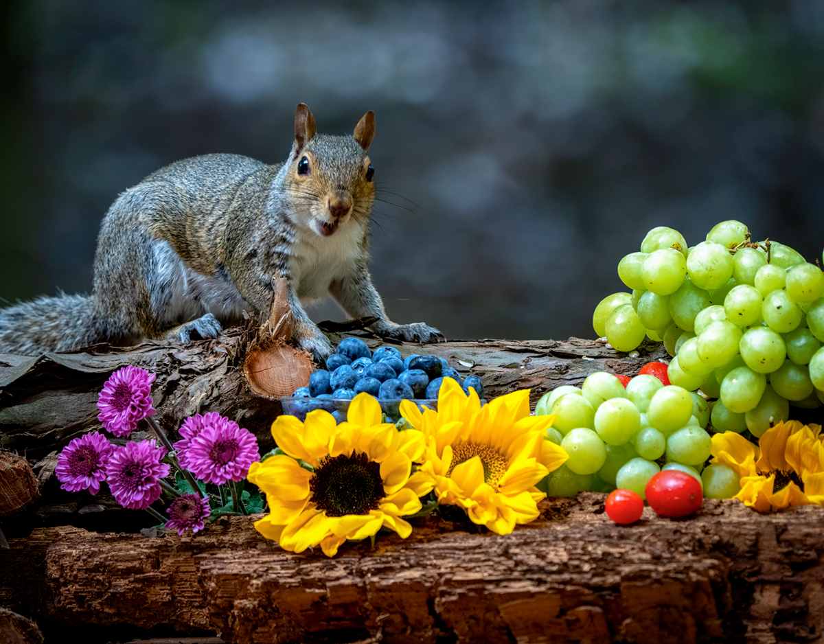 summertime-meal-finalDSC04350