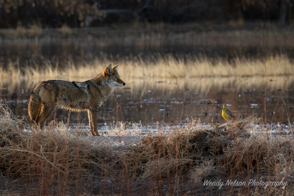 20241220-A1_01770-Edit
