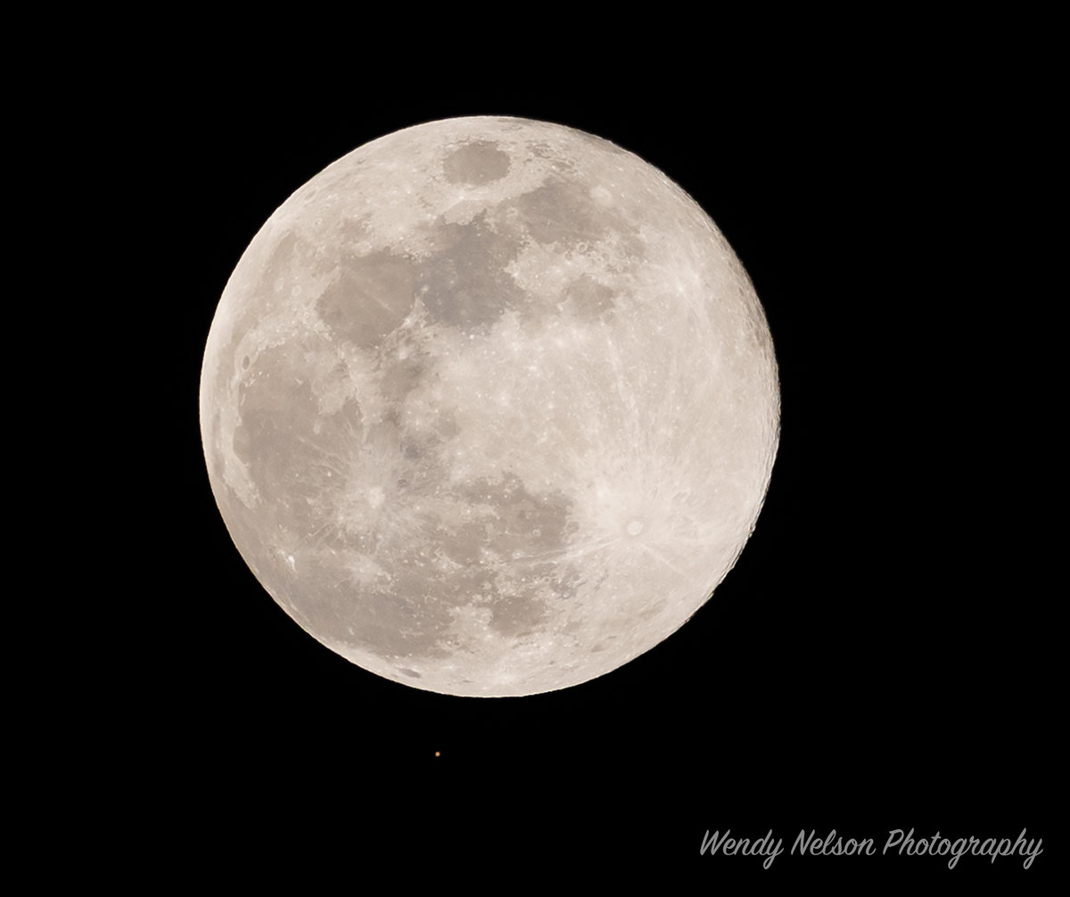 20250113-A1_08161-Edit