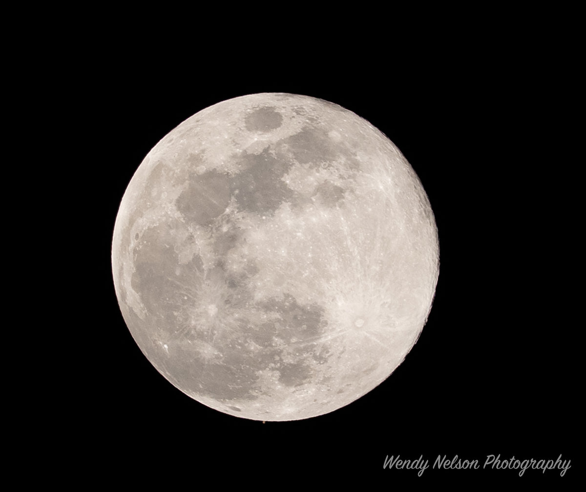 20250113-A1_08259-Edit