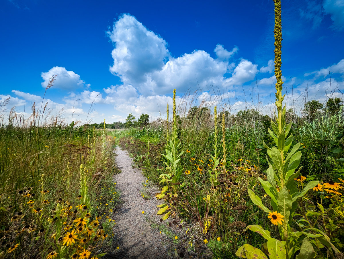 PXL_20250805_171951415-Edit