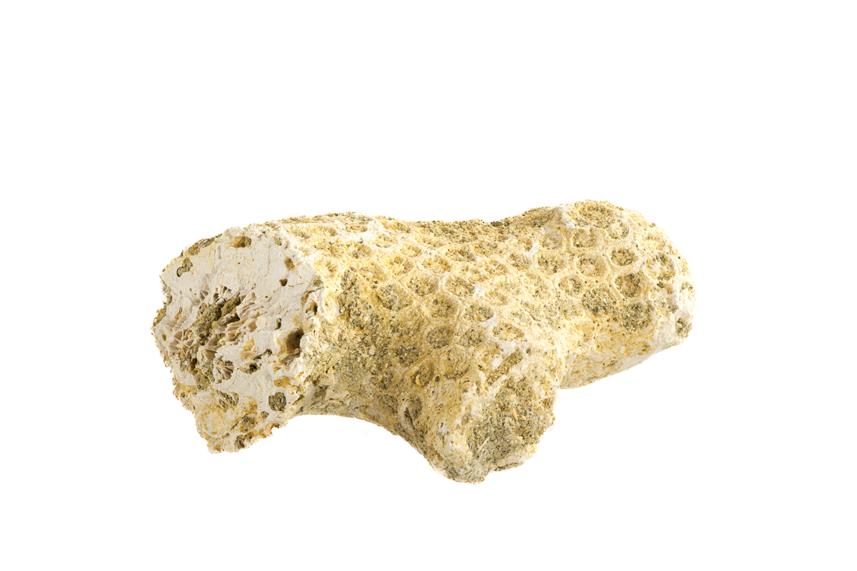 2025-12-09 11-50-00 (B,R8,S4)