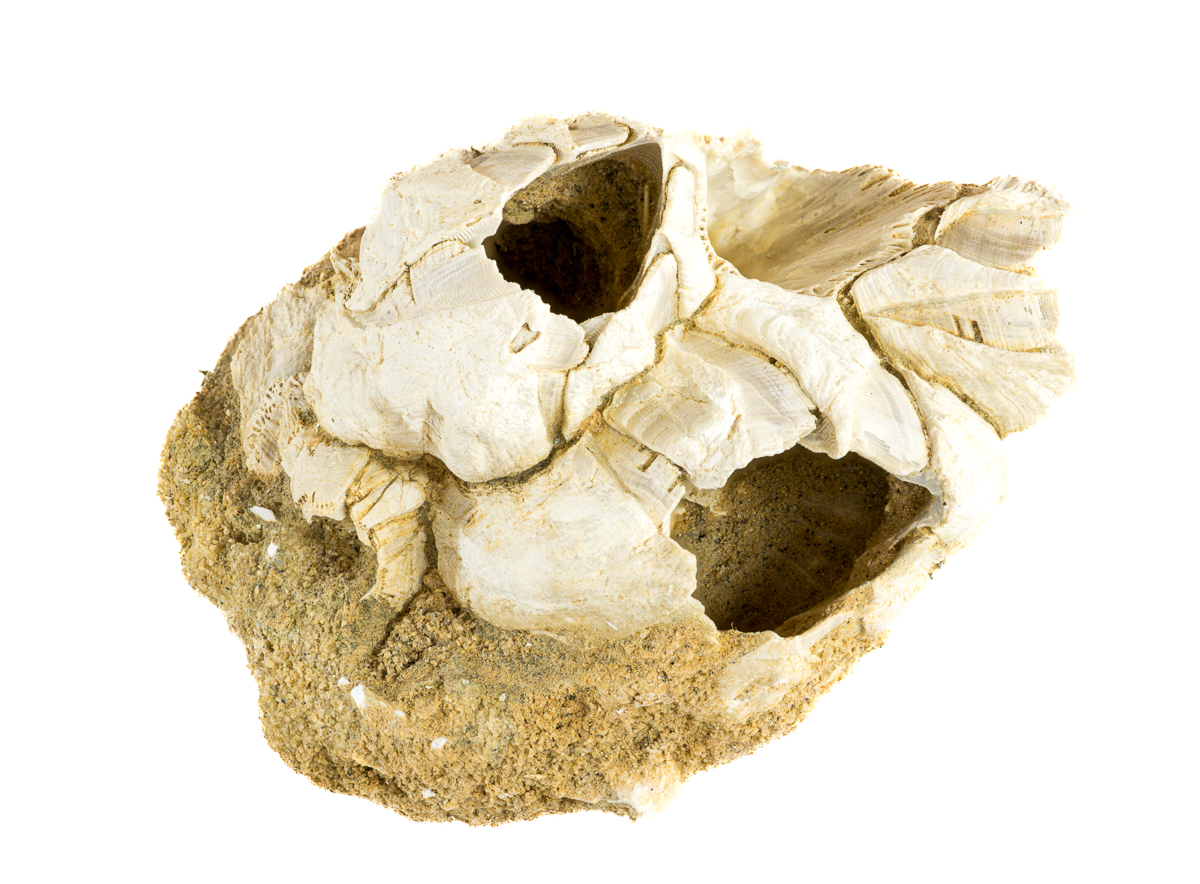 2025-12-09 11-42-55 (B,R8,S4)