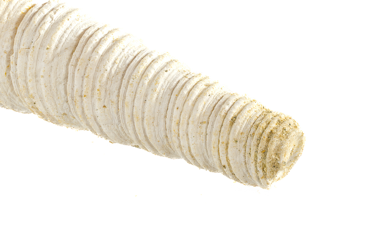 2025-12-09 11-56-24 (B,R8,S4)