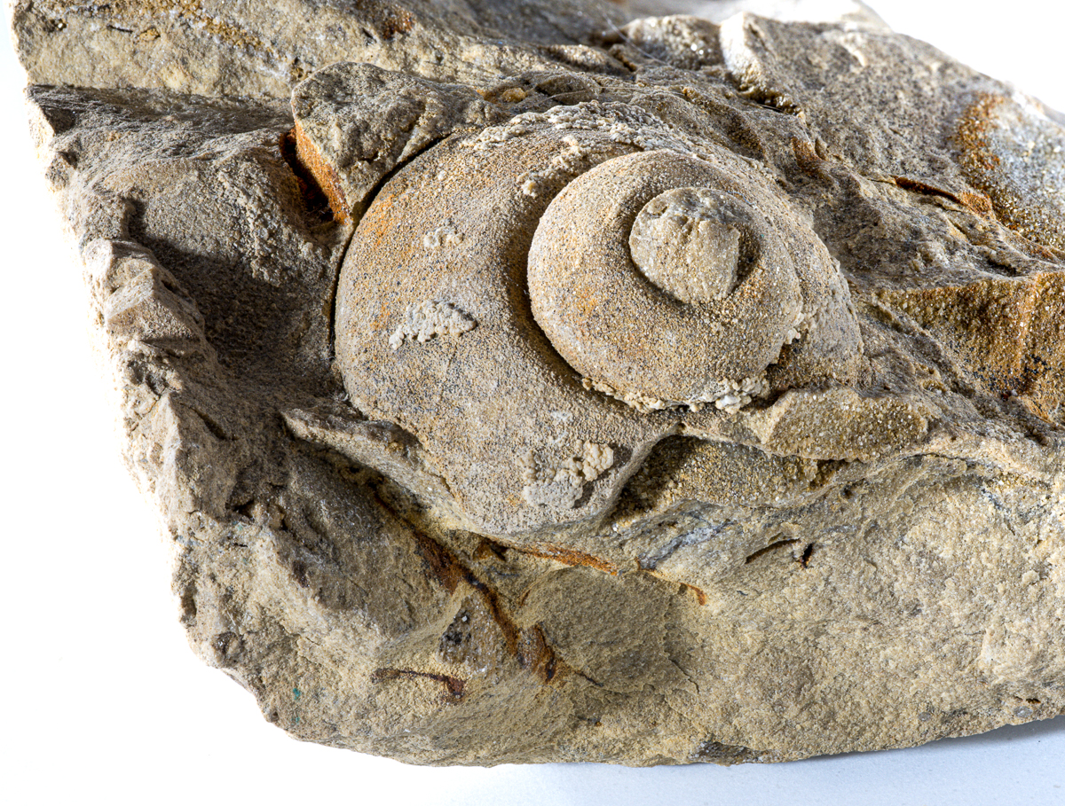 2025-12-09 18-19-48 (B,R8,S4)