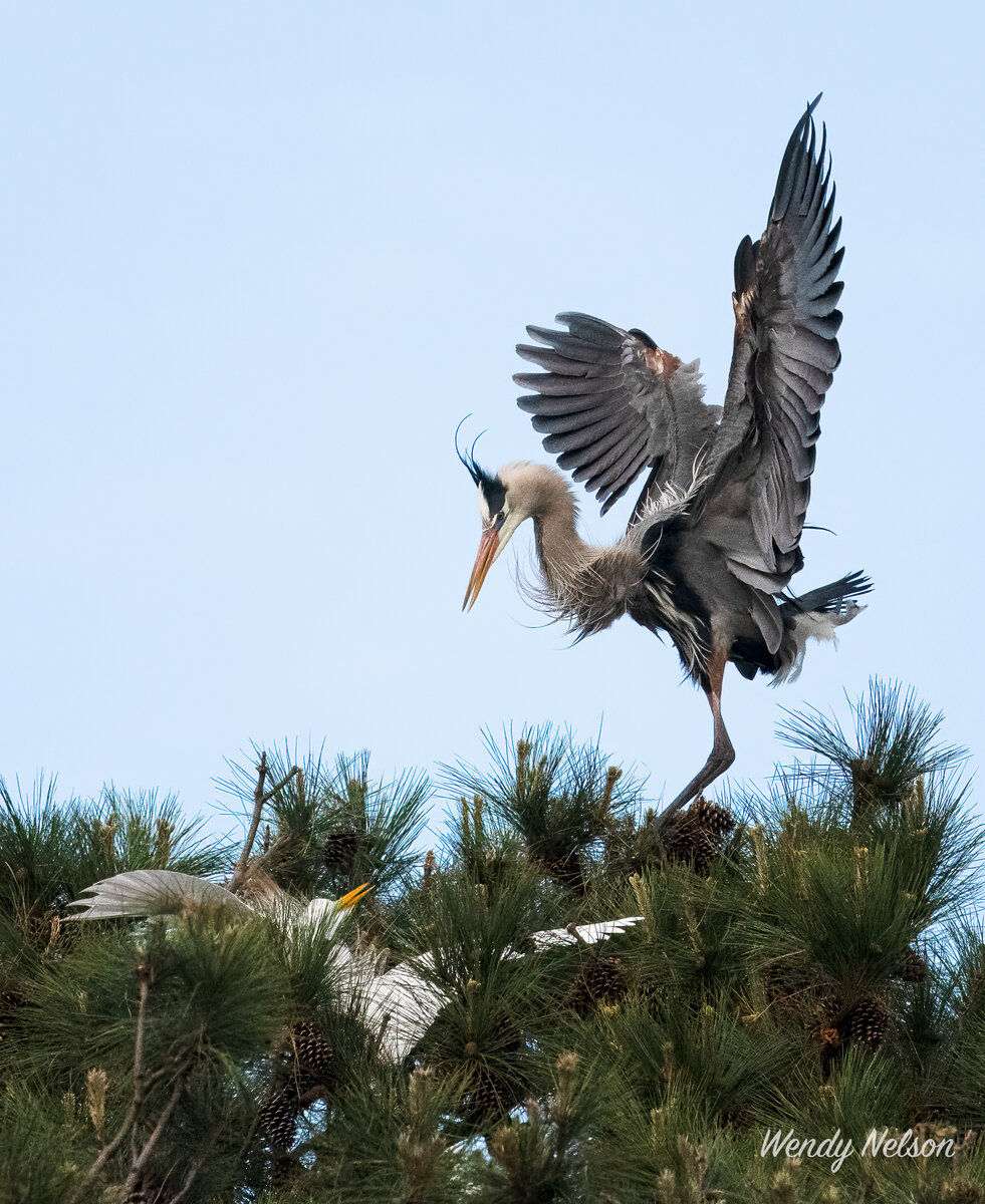 _DSC1583-2-Edit