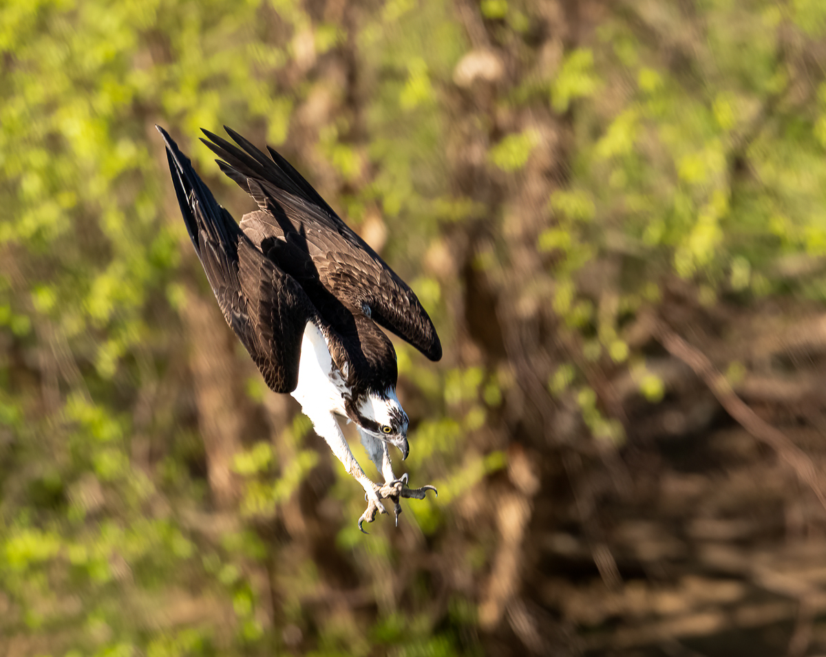 _DSC7580-2-Edit