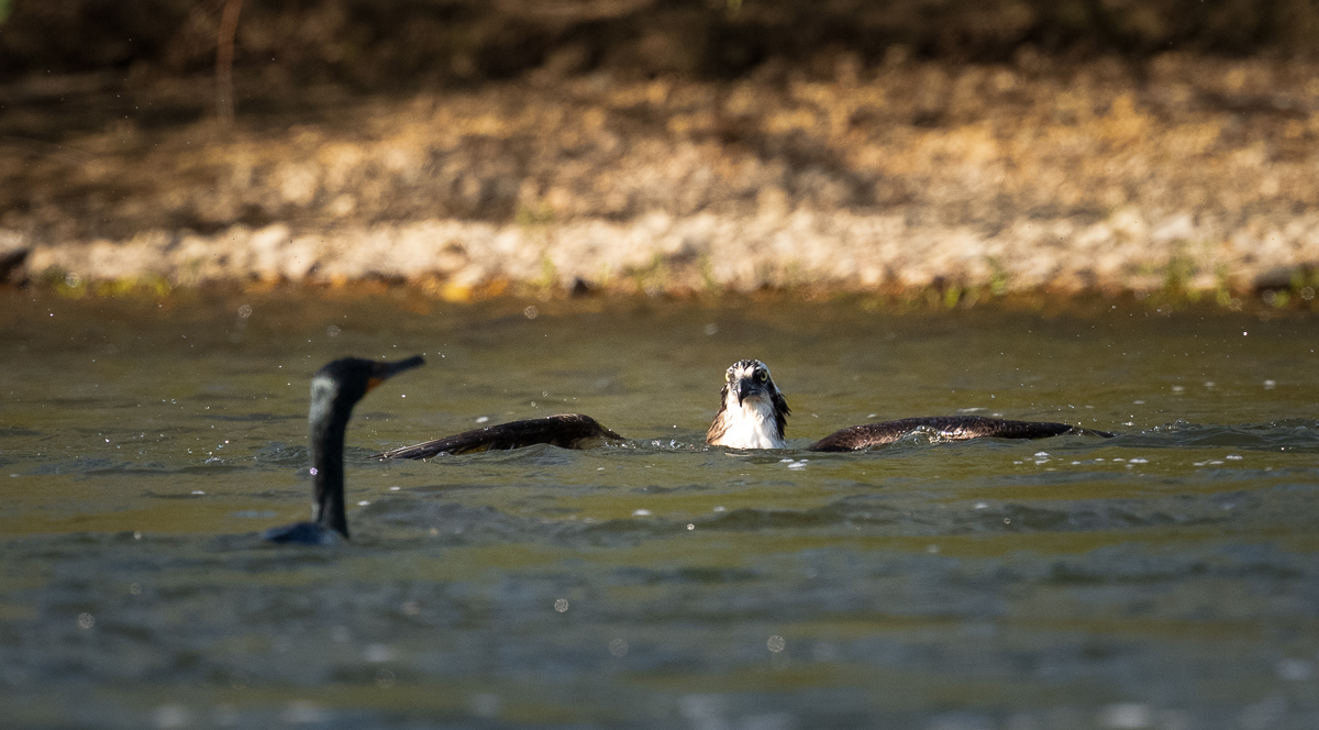 _DSC7697-2-Edit