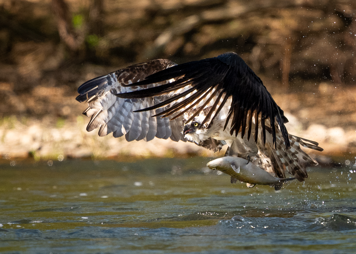 _DSC7756-2-Edit