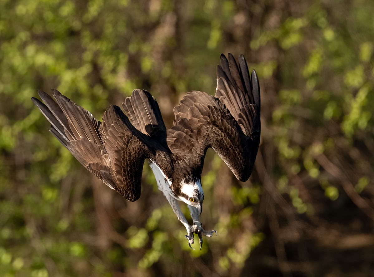 _DSC8125-2-Edit
