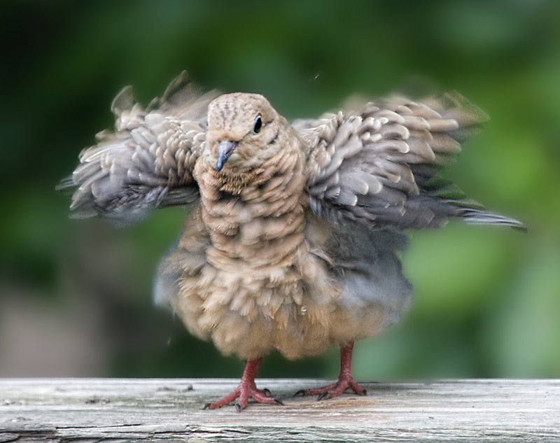 after-bath-time.jpg