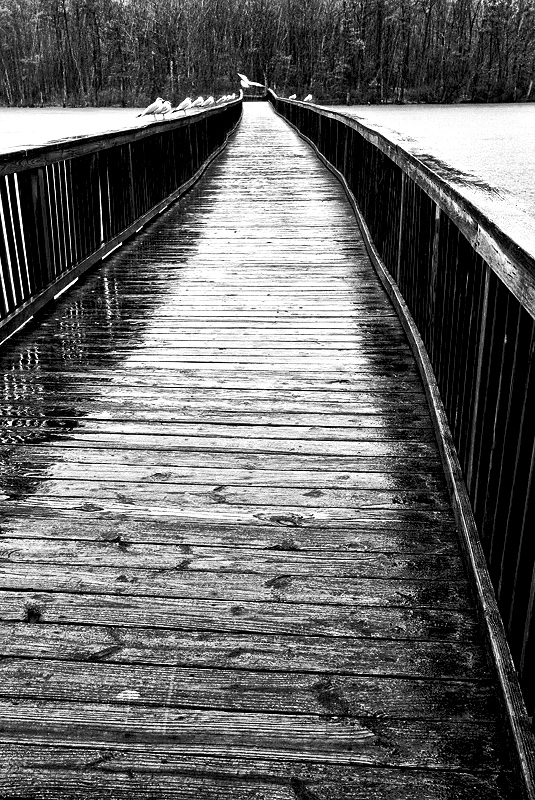leading-lines6a