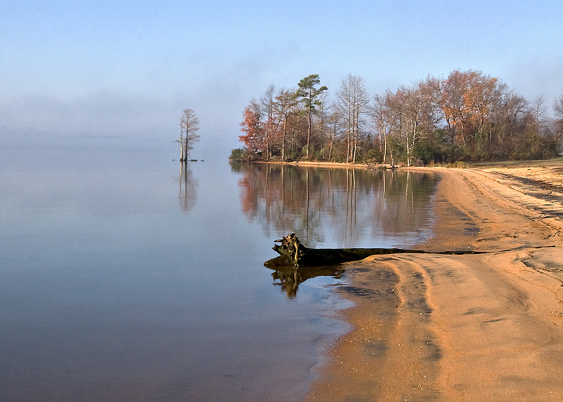 driftwood-(old)