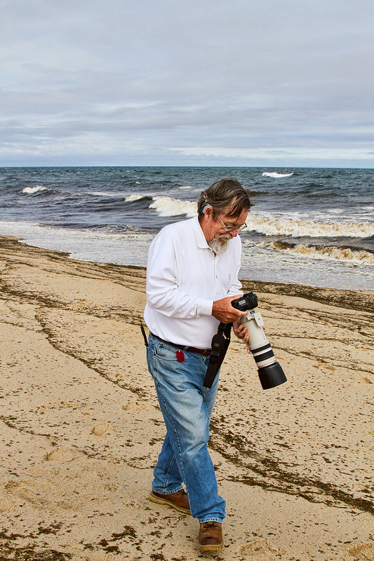 Cape Cod Creature Chimping