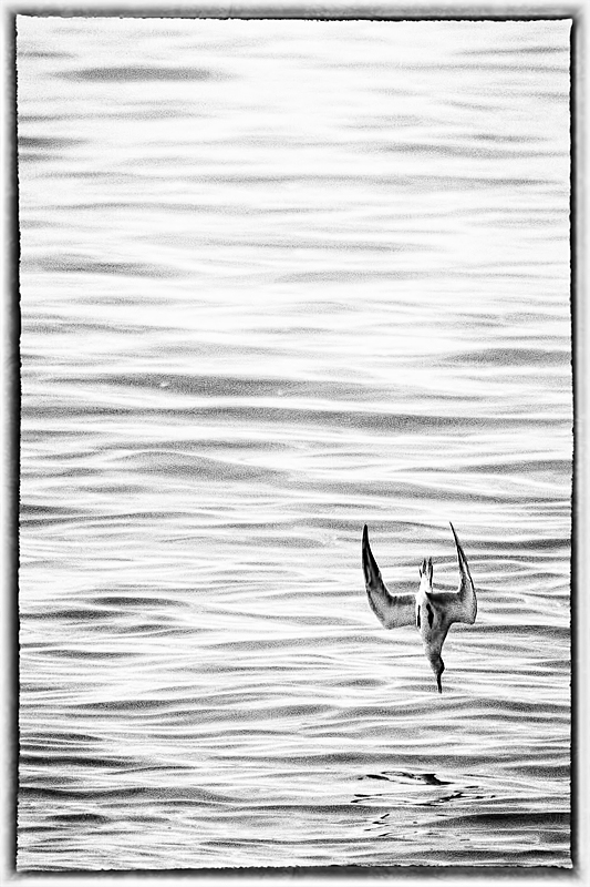 september-freestudy8