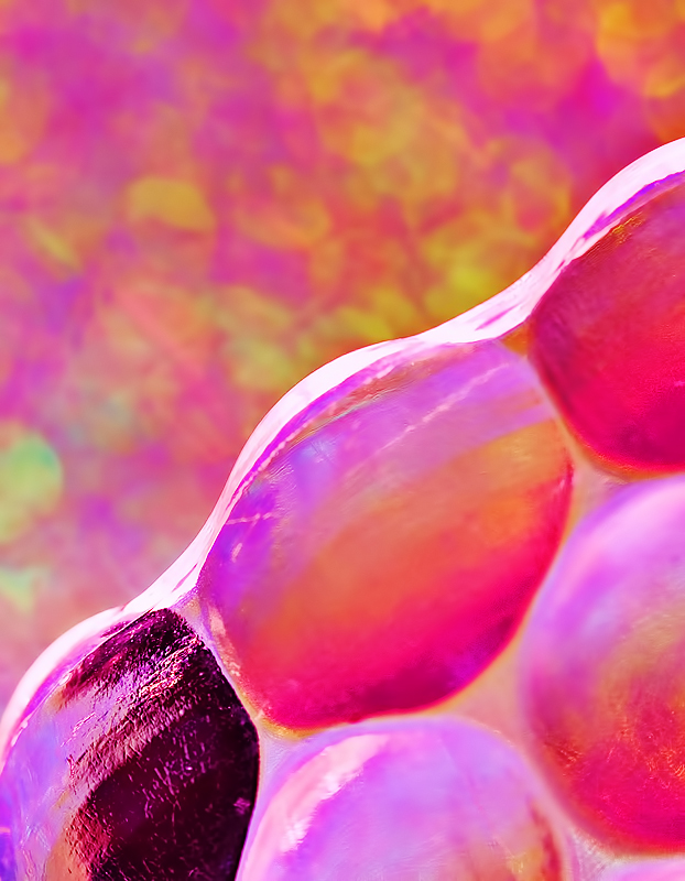 abstract7