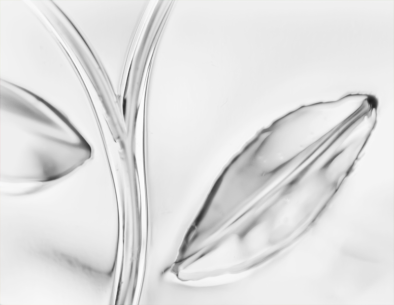 abstract2