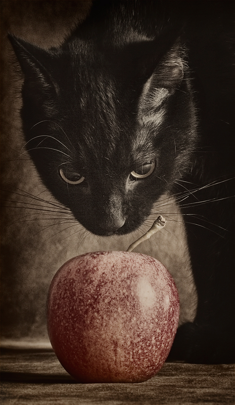 apple7