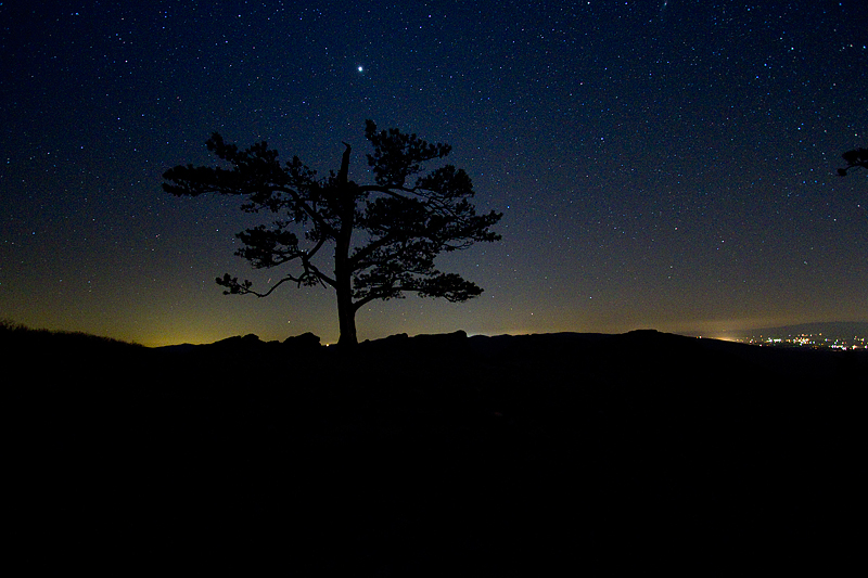 night-landscape2