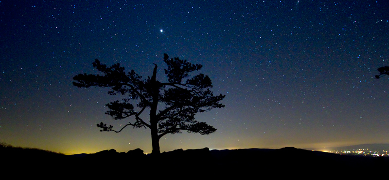 night-landscape4