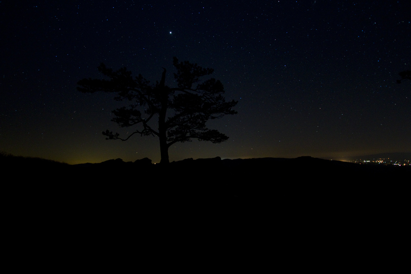 night-landscape-original