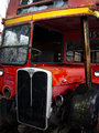 Old General (front side)
