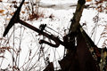 Broken Down_Side View