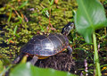 ' . substr('//images.dpchallenge.com/images_portfolio/100000-104999/103601/120/820992.jpg', strrpos('//images.dpchallenge.com/images_portfolio/100000-104999/103601/120/820992.jpg', '/') + 1) . '